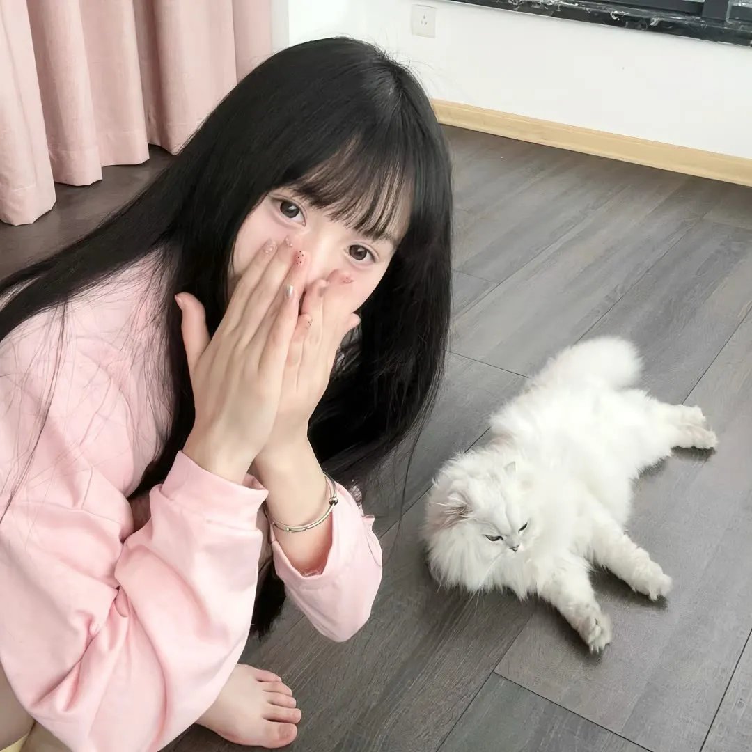 都市猎人