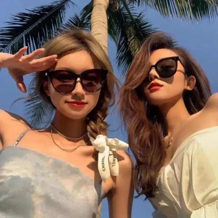 海豚伯尼2